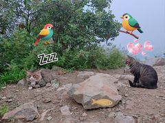 -北京西山国家森林公园