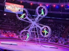 -俄罗斯国家大马戏团