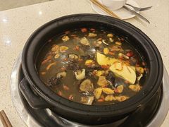 -蜀皇·菌汤鲜黄牛肉汤锅(宽窄巷子店)