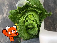 -甜心庄园·甜心草莓采摘园(西青中北店)