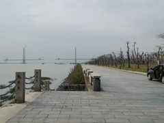 -芒洲湿地公园