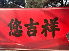 -爱新觉罗皇家博物院