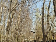 -前关湿地公园