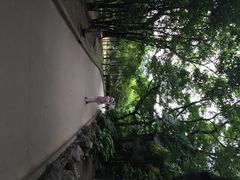 龙华烈士陵园-上海市龙华烈士陵园
