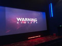 -奥斯卡升龙国际影城(RealD Cinema)
