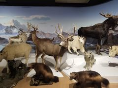 -陕西自然博物馆