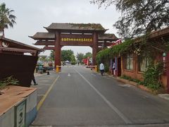 -北海金海湾红树林生态旅游区