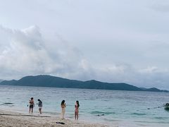 -珊瑚岛
