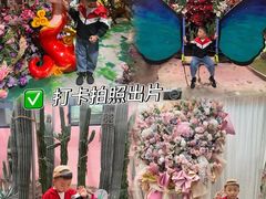-正佳雨林生态植物园