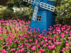 -南宫温泉水世界