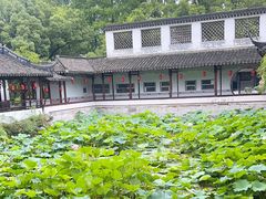 -上海醉白池公园