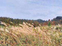 -山王坪喀斯特国家生态公园