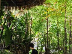 -碧桂园润杨溪谷温泉酒店