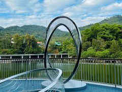 -银湖山郊野公园-相思林