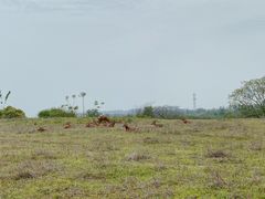 -良渚文化村