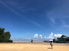 -广东惠东海龟国家级自然保护区