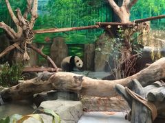 -灵玲国际马戏城