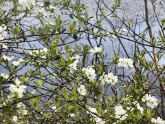 -天台山赤城山景区