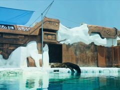 -秦皇岛乐岛海洋王国