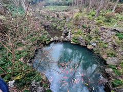 -灵隐飞来峰景区