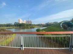 -福田红树林生态公园