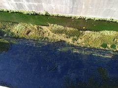 -星之彩摄影冲印店