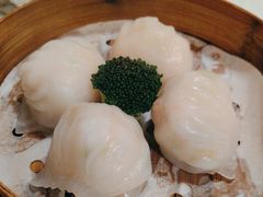 -南海渔村(珠江新城店)