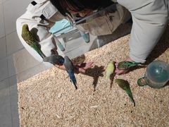 -怪兽屋·羊驼·猫咖·狗咖(俊华广场店)