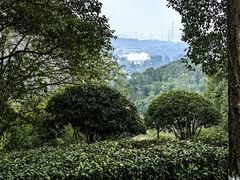 -重庆园博园