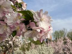 -元大都城垣遗址公园