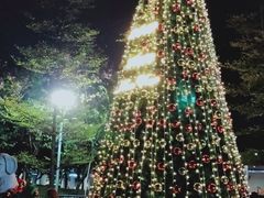 -广州塔晖粤轩中餐厅
