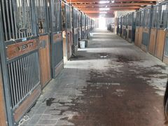 -北京群众马术培训基地