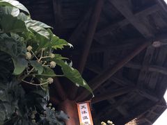 -威海天沐度假区温泉