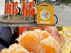 -前小桔亲子创意农场·草莓采摘·露营烧烤