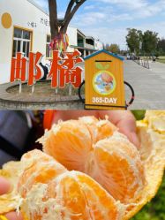 -前小桔亲子创意农场·草莓采摘·露营烧烤