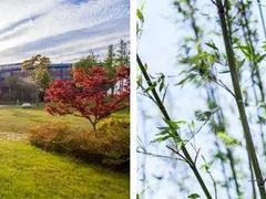 -上海滴水湖皇冠假日酒店