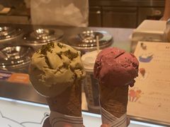 -莉莉熊Lililove Gelato (意大利手工冰淇淋)