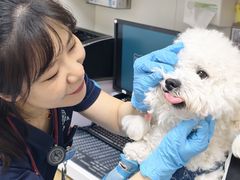 -美联众合动物医院·24h京西诊疗中心