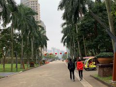 -万绿园