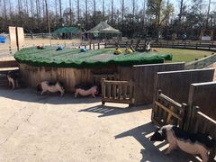 -前小桔亲子创意农场·草莓采摘·露营烧烤