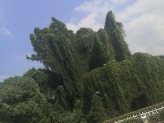 -上海月湖雕塑公园