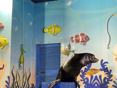 -太平洋海底世界