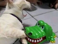 -风味烧烤