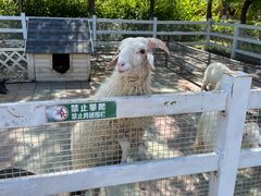 -齐齐哈尔龙沙动植物园