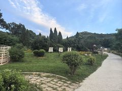 -金石滩蓝莓谷庄园