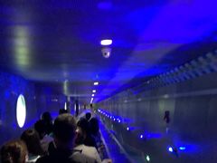 -白鹤梁水下博物馆