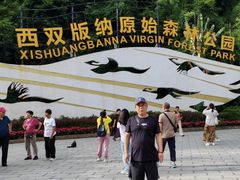-西双版纳原始森林公园