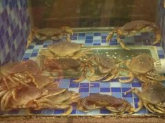 -顺峰(南二环店)