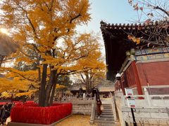 -红螺寺