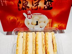 -源宗盛粽子汤圆